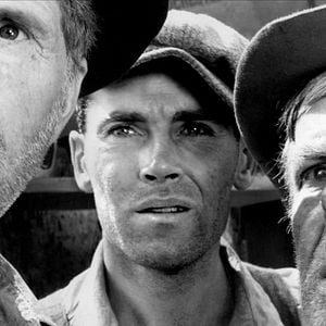 Foto As Vinhas da Ira