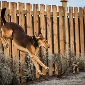 Foto A Caminho de Casa