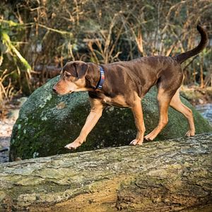 Foto A Caminho de Casa