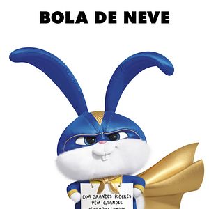 Foto Pets - A Vida Secreta dos Bichos 2