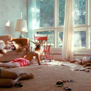 Foto Nós, os Animais