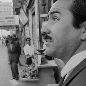 Foto Tres Tristes Tigres