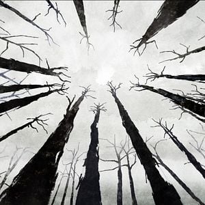 Foto Chris, o Suíço