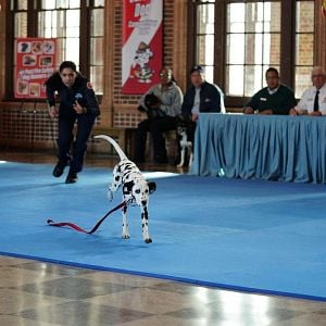 Foto Miranda Rae Mayo