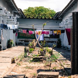 Foto Coração que Acolhe