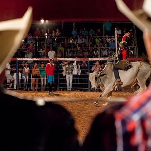 Foto Querência