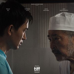 Foto Kazenoki Wa Koto No Youni