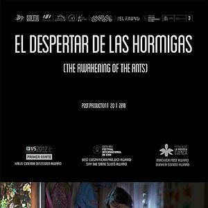 Foto O Despertar das Formigas