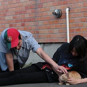 Foto Kimi no tori wa utaeru