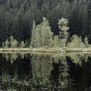 Foto Das Innere Leuchten