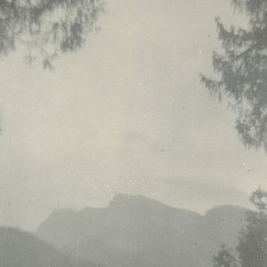 Foto Breathless Animals