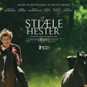 Foto Cavalos Roubados