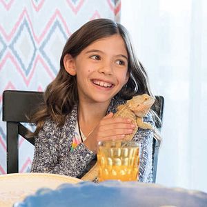 Foto Bernie, O Golfinho