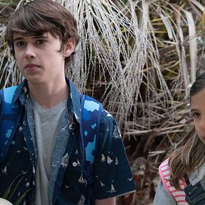 Foto Bernie, O Golfinho