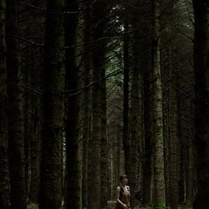 Foto The Hole In The Ground