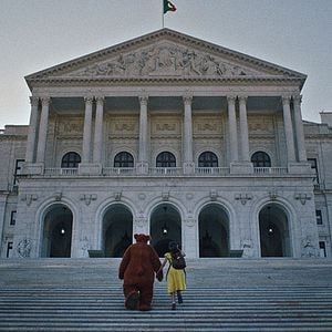 Foto Tristeza e Alegria na Vida das Girafas