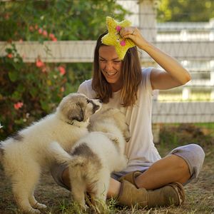 Foto A Pequena Grande Fazenda