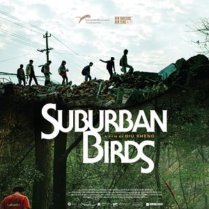 Foto Pássaros do Subúrbio