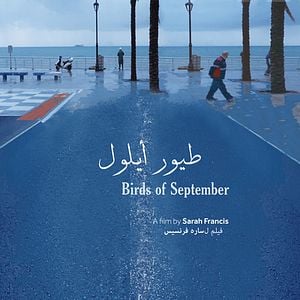 Foto Pássaros de Setembro