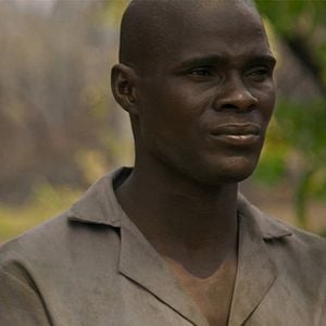 Foto Na Linha de Frente