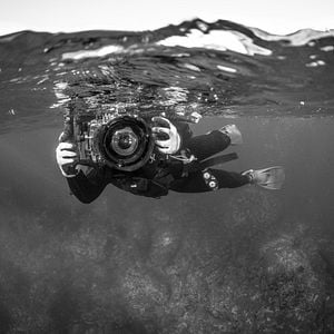 Foto Haenyeo - A Força do Mar