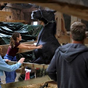 Foto Cristina do Rego