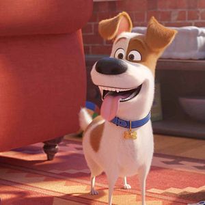 Foto Pets - A Vida Secreta dos Bichos 2