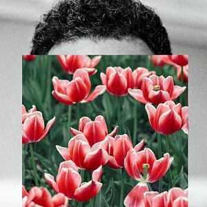 Foto Amar é Para os Fortes