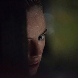 Foto Predadores Assassinos