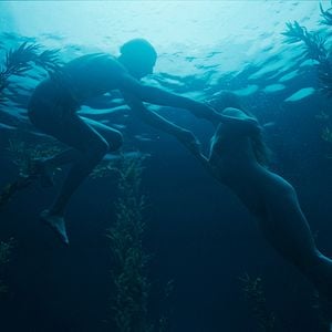 Foto Dogs Don't Wear Pants