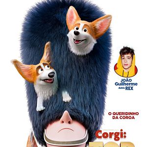Foto Corgi: Top Dog