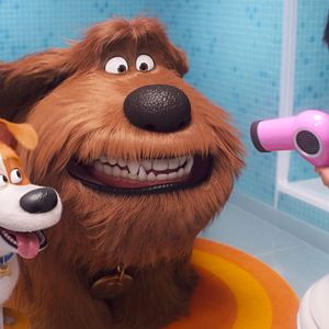 Foto Pets - A Vida Secreta dos Bichos 2