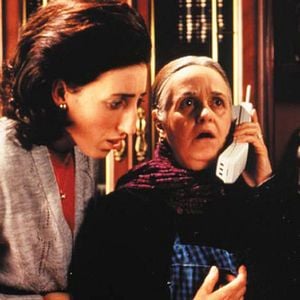 Foto A Flor do Meu Segredo