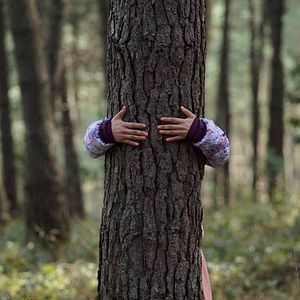 Foto La Belle Indifference