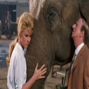 Foto A Mais Querida do Mundo