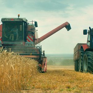 Foto Em Nome da Terra