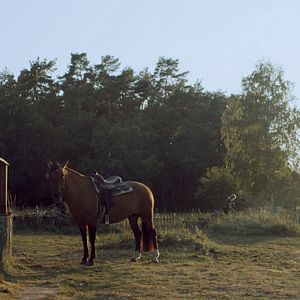 Foto Sebastian Fräsdorf