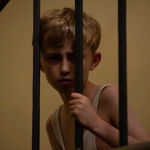 Foto Fale com as Abelhas