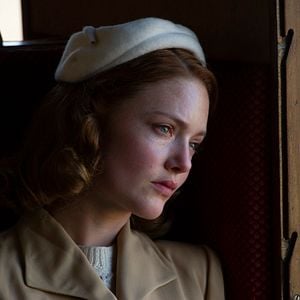 Foto Fale com as Abelhas