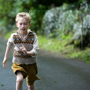 Foto Fale com as Abelhas