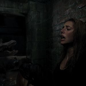 Foto Predadores Assassinos