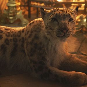 Foto His Dark Materials: Fronteiras do Universo