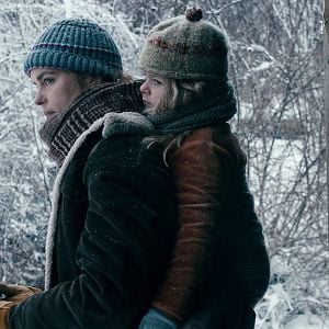 Foto Sangue de Pelicano