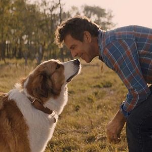 Foto Juntos para Sempre