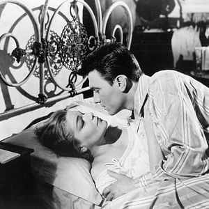 Foto Almas em Leilão