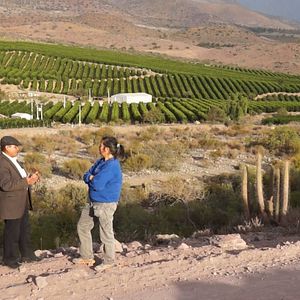 Foto O Verde Está do Outro Lado