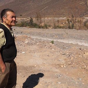 Foto O Verde Está do Outro Lado