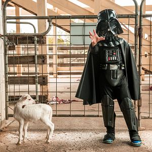 Foto Little Monsters