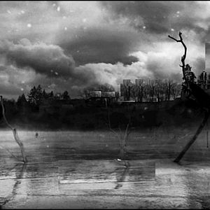 Foto O Pássaro Pintado