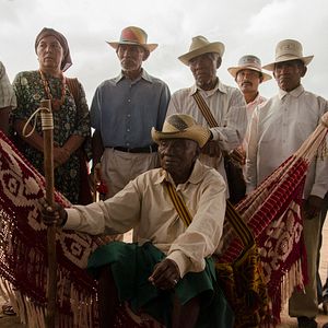Foto Pássaros de Verão